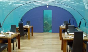 chattanooga restaurant owner accuses cdc