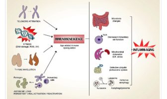 why older people are harder to vaccinate