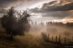 the brain fog lingering after covid-19