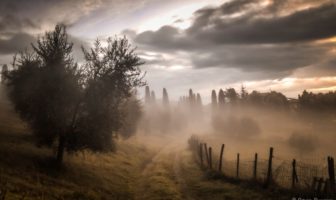 the brain fog lingering after covid-19