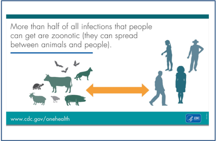 covid virus could cycle back
