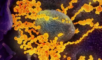 the coronavirus can be spread in particles