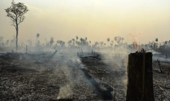 assessing the infection risks of wildlife trade