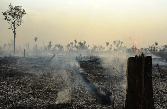 assessing the infection risks of wildlife trade