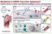 strong promise from moderna covid vaccine