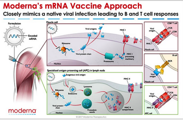 strong promise from moderna covid vaccine