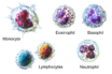 how different covid vaccine types work