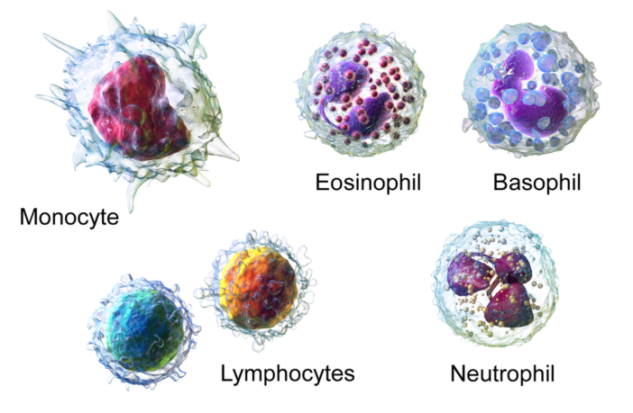 how different covid vaccine types work