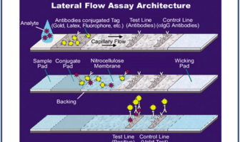 lateral flow testing under the spotlight