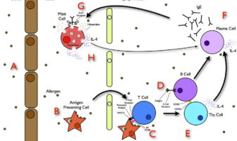uk health workers reacted to pfizer vaccine