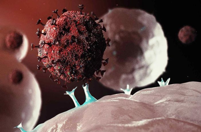 new covid mutation is not a panic situation