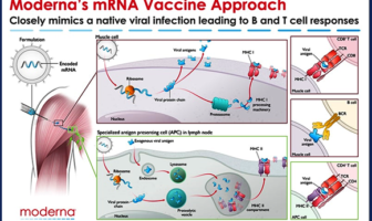 comparing pfizer and moderna vaccines