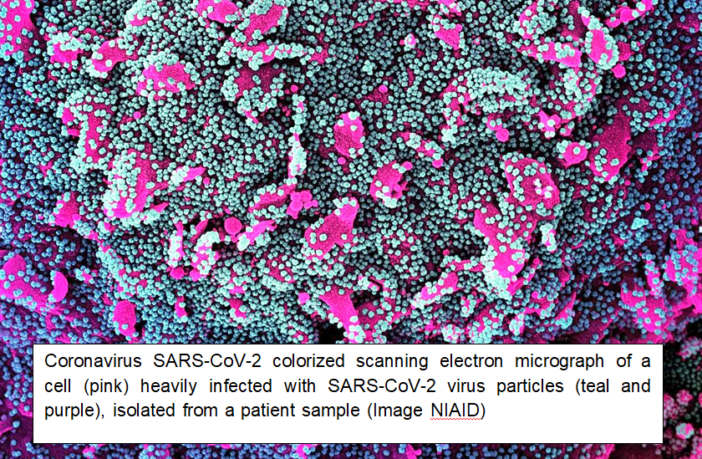 niaid-sponsored study of covid-19 in kids