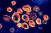 will trialing two vaccines together be better