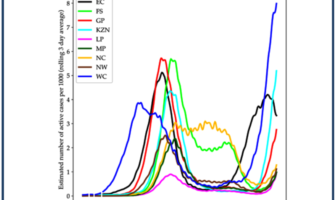 open questions about South African variant