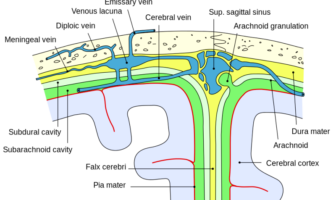 you do not want to mess with this virus