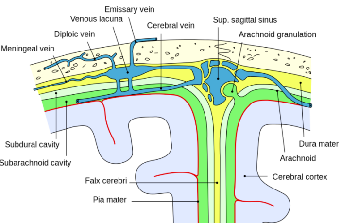 you do not want to mess with this virus