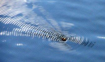 covid variant 202012/01