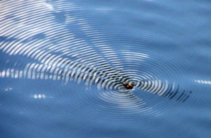 covid variant 202012/01