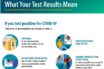 recombinant antigens for mutation N501Y