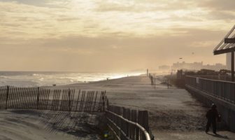 when everything starts tasting like cardboard