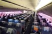 international travel behind first wave deaths