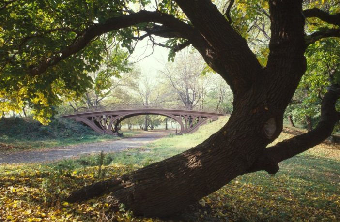 accept the vaccine on offer