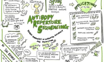 halting covid re-infections versus new ones