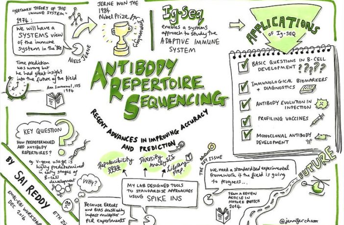 halting covid re-infections versus new ones