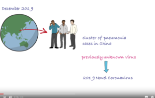 origin of the sars-cov-2 virus unravelling