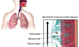 what makes a super spreader