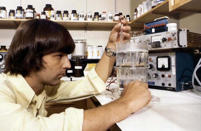 coronavirus strains variants and mutations