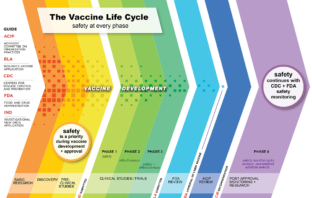 the commonest side effects of the vaccine