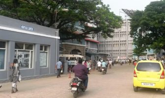 will covid become another animal in the zoo