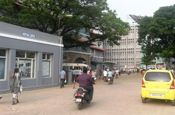 will covid become another animal in the zoo