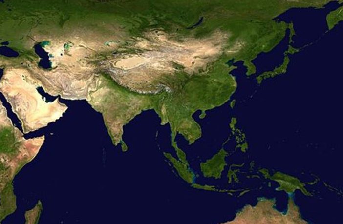 bats and pangolins with corona antibodies