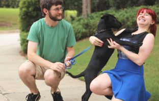 the covid human-animal link