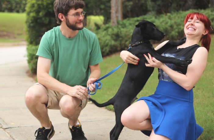 the covid human-animal link