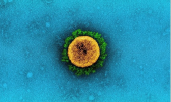 a fourth U.S. surge could pose a real threat