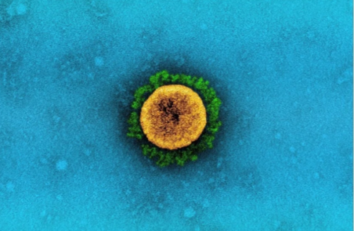 a fourth U.S. surge could pose a real threat