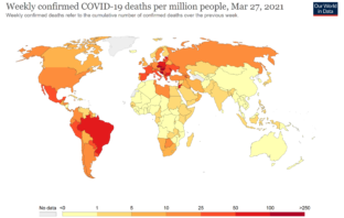 the covid virus could never leave us
