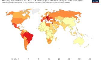 the covid virus could never leave us
