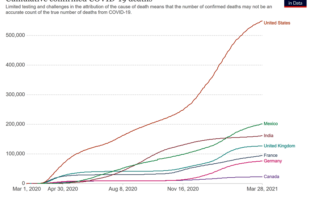 mexicos alarming adjusted covid-19 deaths