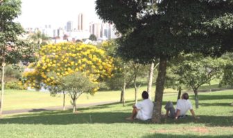 facing up the other type of covid fatigue