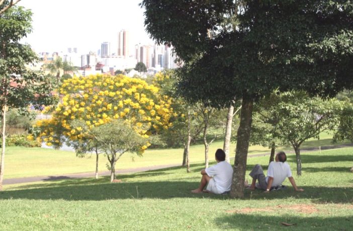 facing up the other type of covid fatigue