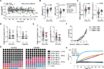 covid immunity and the three month factor