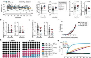 covid immunity and the three month factor