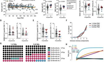 covid immunity and the three month factor