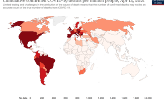 brazil’s p1 coronavirus