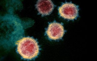human challenge to study covid-19 reinfection